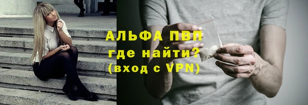 сатива Осташков