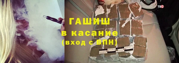 мдпв Пересвет