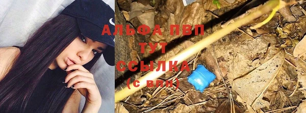 не бодяженный Няндома