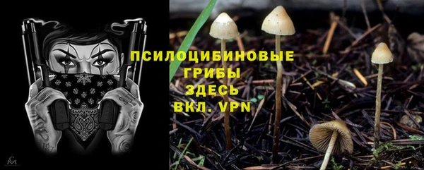 мдпв Пересвет