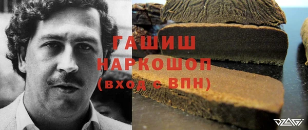 индика Нягань