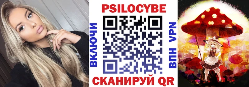 Псилоцибиновые грибы Psilocybine cubensis Кинешма