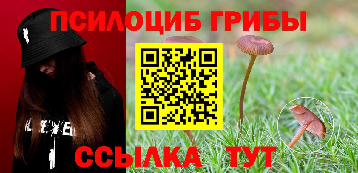 Псилоцибиновые грибы мухоморы Кинешма